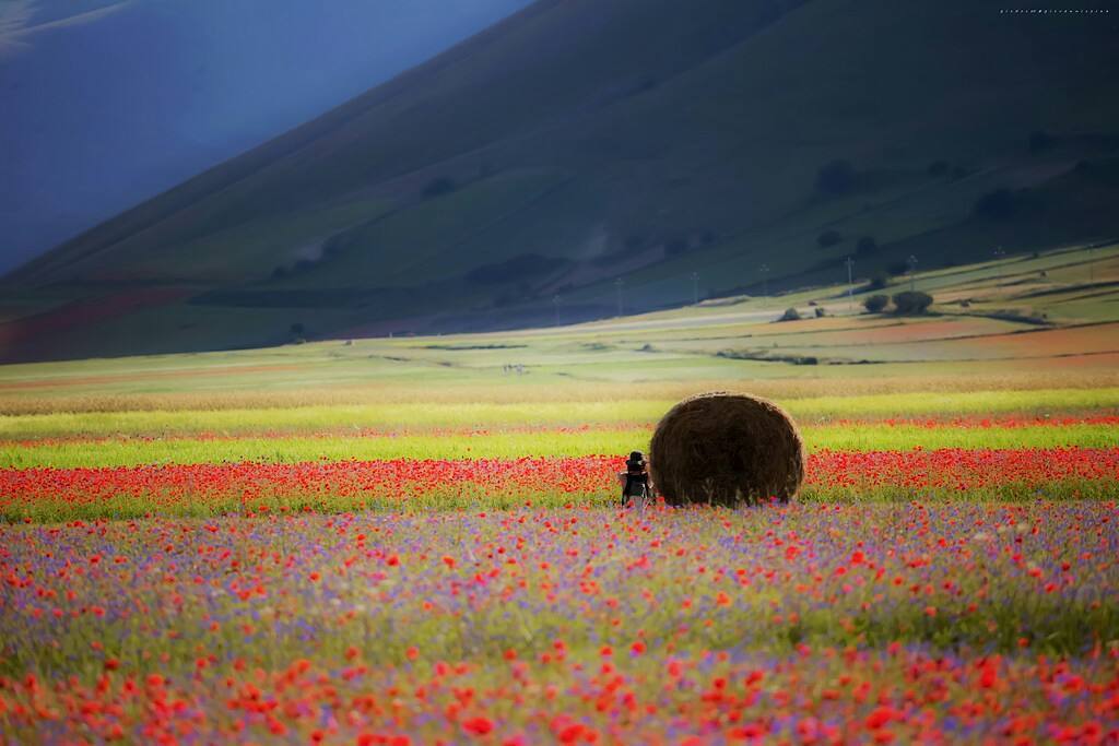 castelluccio