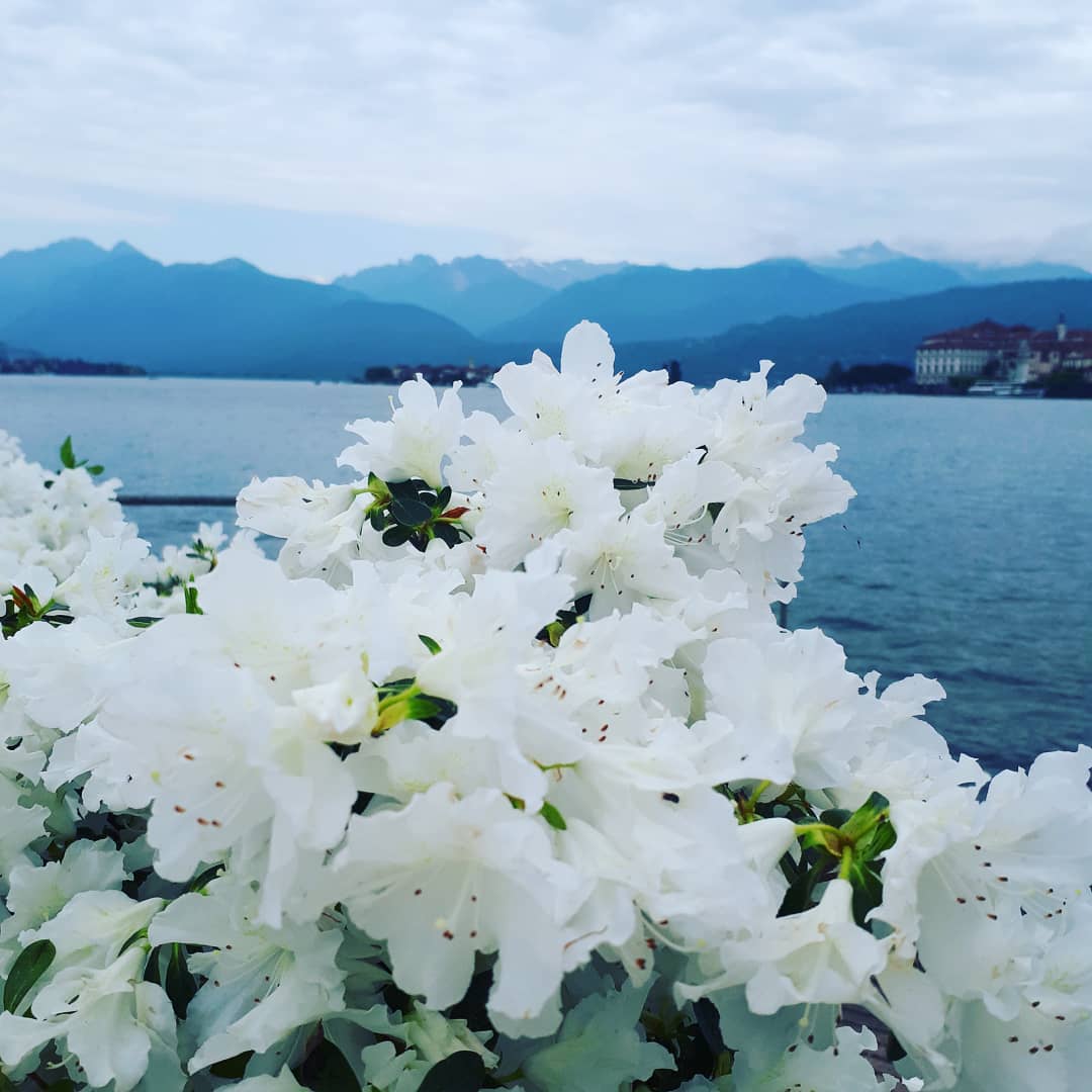 stresa