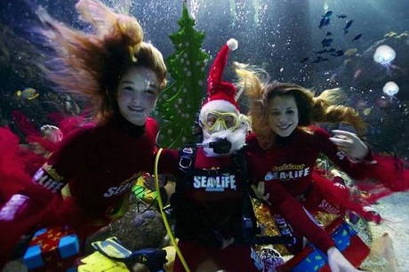 http://italia-ru.com/files/acquario-gardaland_0.jpg