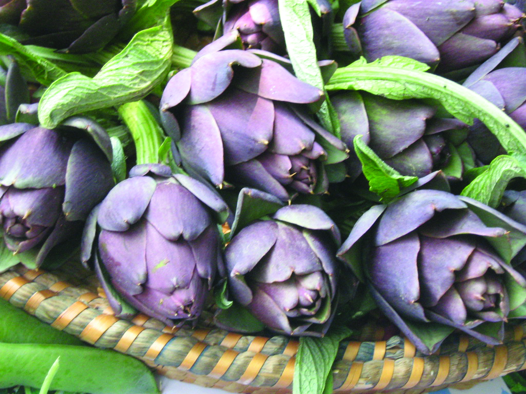 carciofo chioggia
