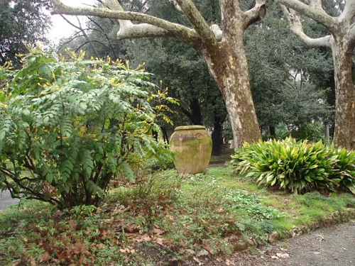 http://italia-ru.com/files/giardino.jpg