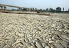 Север Италии под угрозой засухи 