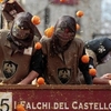 Карнавал в Италии: в Иврее стартовал последний день Апельсиновых сражений