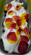 В Италии этой весной предлагают попробовать мороженое из лепестков тюльпанов
