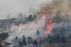 Пожарные борются с огнем в лесах у города Л'Акуила