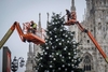 В Милане установили рождественскую елку перед Дуомо!