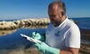 У побережий южной Италии морские воды наиболее загрязнены