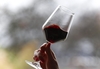 Мир предпочитает итальянские вина их давним европейским конкурентам