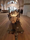 В Пизе открылся музей античных кораблей