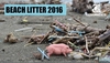 Итальянские пляжи чрезмерно загрязнены: 714 отходов каждые 100 метров