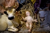 Туристы из Бельгии попали под суд за кражу младенца Иисуса из рождественских ясе