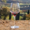 Брунелло и Амароне - самые дорогие вина Италии