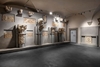 В Пизе вновь открылся для посетителей музей Пизанского собора, Опера-дель-Дуомо