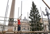 В Ватикане начались подготовки к Рождеству