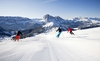 Катание на лыжах в эру covid-19: Италия пытается спасти зимний сезон