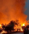 В Пескаре от пожара пострадал заповедник Пинета Даннунциана