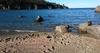 Тысячи креветок выбросились на пляж острова Искья