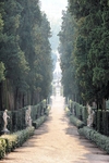 Флорентийские сады Боболи вновь открылись после падения деревьев из-за непогоды