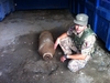В порту Генуи обезврежена 130-килограммовая бомба