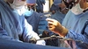 Итальянским медикам запретили снимать селфи в больницах