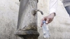 Из-за засухи с понедельника в Риме частично перекроют публичные фонтаны с питьев
