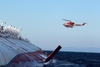 Число погибших при кораблекрушении Costa Concordia возросло до 25 человек, сегод