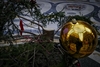  В Неаполе неизвестные украли рождественскую ель, установленную в городской цент