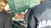 Полиция Милана конфисковала у гражданки Болгарии хищную кошку, которую та выгули