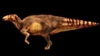 Палеонтология: новый вид динозавров. Останки скелета, найденные в 1971 г. в Британской Колумбии.