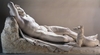 Рим и Канова: "Вечная красота" в Палаццо Браски