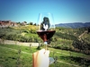 В Тоскану возвращается "Mostra del Chianti": вино, ярмарки, дегустации и отлична