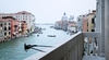 Венеция, прыжок в канал с крыши палаццо; мэр Бруньяро: "Ему стоит присудить титу