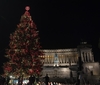"'Spelacchio' is back": в Риме зажгла огни главная рождественская ель