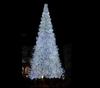 В Салерно зажглись огни на рождественской ели, высотой 27 метров