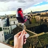 Самые продаваемые вина в Италии: рейтинг 2019