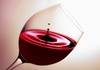 Вино: с 2022 года на этикетке будут указывать также калорийность