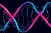 Открытие "музыкального гена"