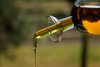 Оливковое масло: в этом году производство в Италии сократится в два раза