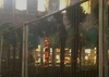 В Милане ночью подожгли пальмы, высаженные на Соборной площади