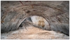 "Золотой дом Нерона": археологи возрождают прекрасный зал Сфинкса
