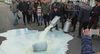 Фермеры Сардинии разливают молоко в знак протеста против низких закупочных цен