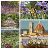 Во Флоренции вновь открылся прекрасный Сад Ирисов