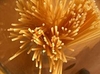 В различных магазинах Италии цена упаковки спагетти варьируется и возрастает до 