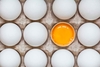 Во Флоренции открылся ресторан, посвященный целиком и полностью куриным яйцам