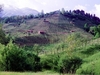 Винодельческий ландшафт Просекко, возможно, войдет в список Всемирного наследия 