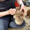 Сардиния, открытие в Монт'э Прама: археологи обнаружили новых гигантов "возрасто