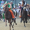Сиенский Палио в этом году не состоится Сиенский Палио в этом году не состоится