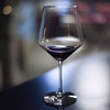 Slow Wine 2017: лучшие винодельни Италии согласно рейтингу ассоциации "Slow Food