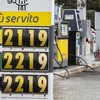 Высокие цены на бензин, правительство примет меры по борьбе со спекуляцией