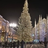 Рождество 2020 в Милане будет «Рождеством елей»